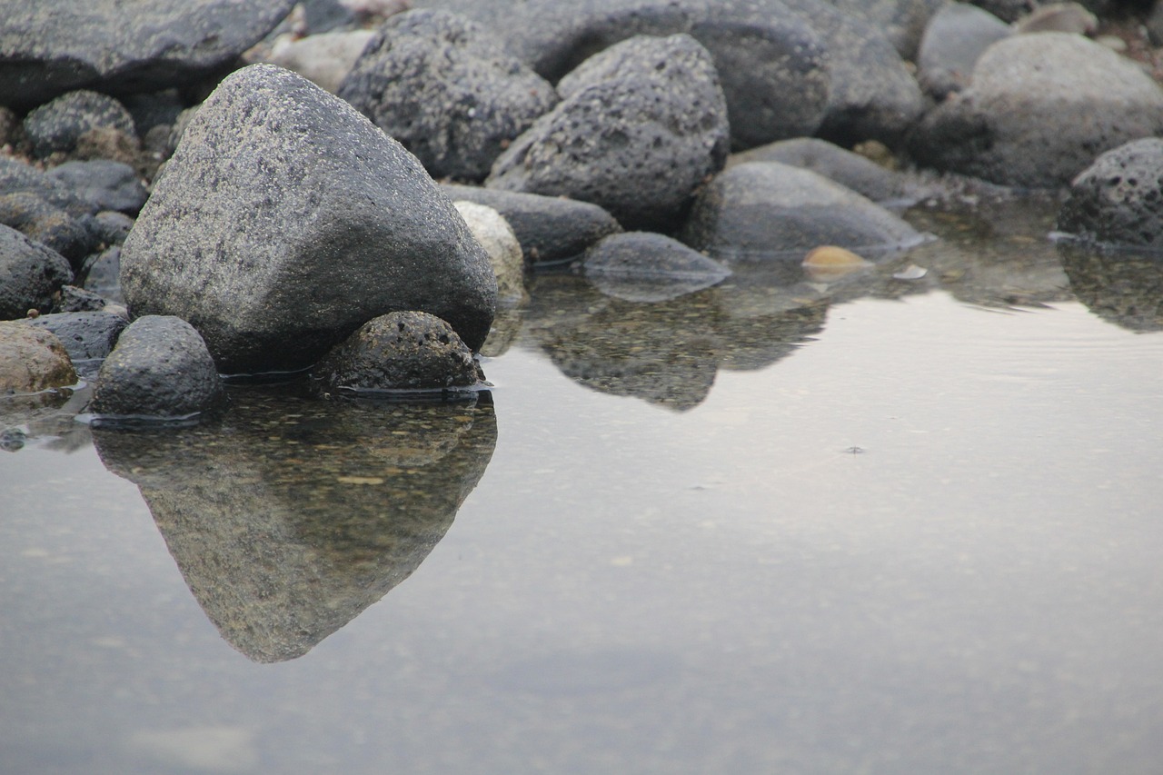 海洋透明精靈——海蜇