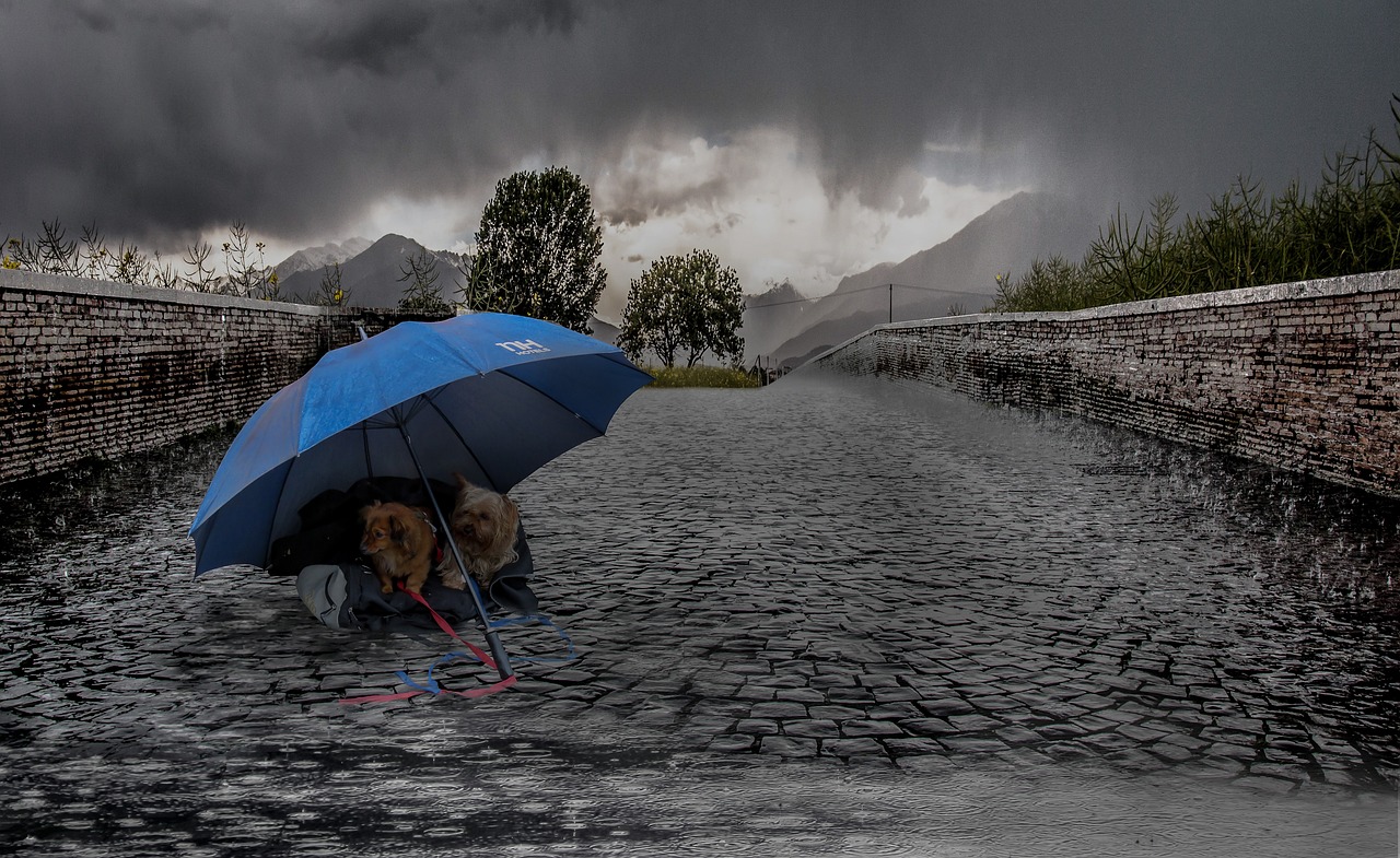 陰雨天氣頻繁背后的原因探索