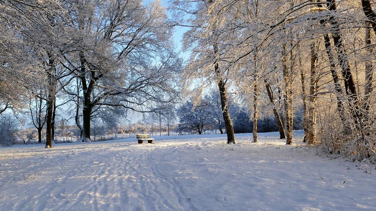 雪域奇緣，探尋降雪奇觀的神秘之旅