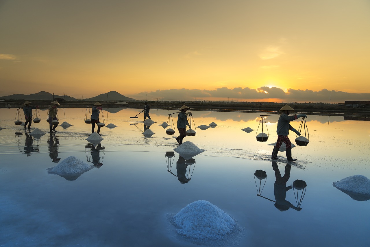 馬海洋世界，探索水域生態(tài)的奇妙之旅